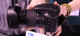 Illustration for article titled Hands On Fujifilm S100FS Faux DSLR: Why?